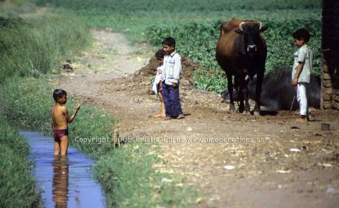 Boy in Ditch Egypt CR