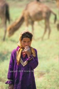 A Bedouin Girl with Her Camels